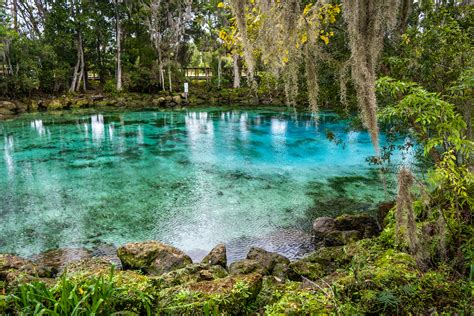Three sisters spring - Located on the gulf side of Florida, Three Sisters Springs is an access point for the Crystal River National Wildlife Refuge. This means the animals who call the spring waters home are protected from human disturbance. To that end, there are plenty of opportunities for wildlife viewing in this spectacular location.
